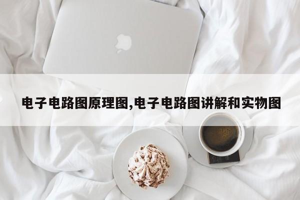 电子电路图原理图,电子电路图讲解和实物图